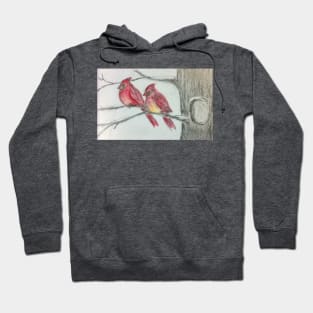 Cardinals sitting on a tree. Hoodie